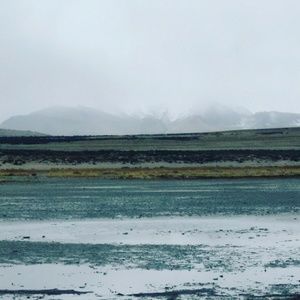 Meet your Posher, Elodia